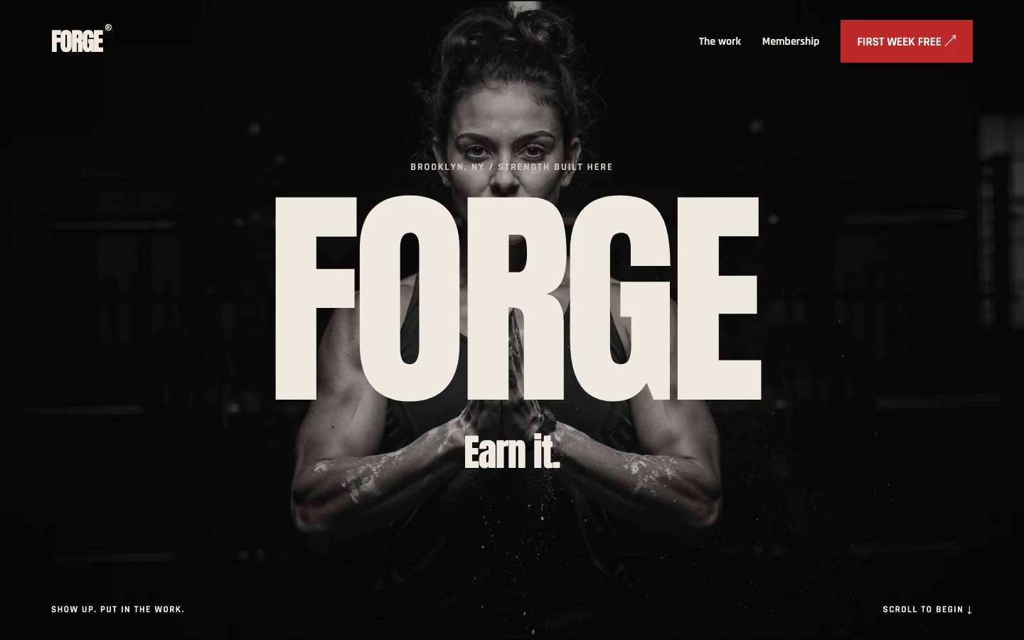 FORGE website preview